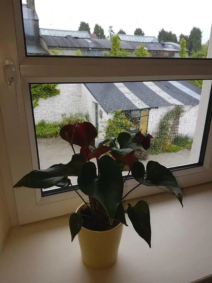 Glenbower House Apartment Cork 0*,  Ireland
